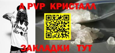 стафф Пугачёв