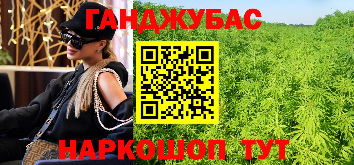 Канабис сатива Северск